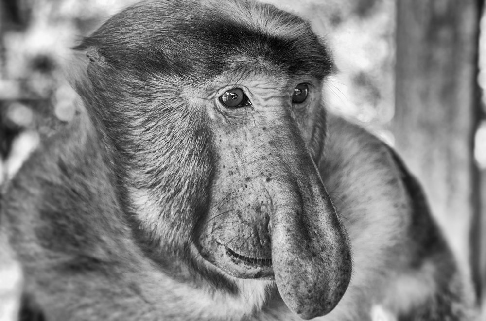 Photograph by Дмитрий Петренко