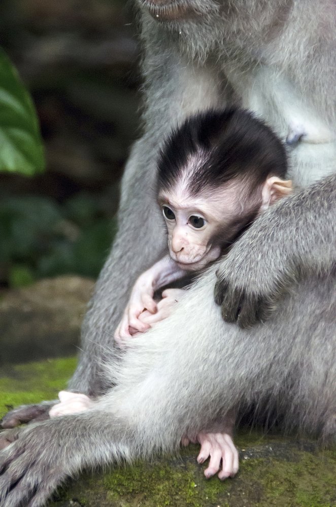Photograph by Дмитрий Петренко