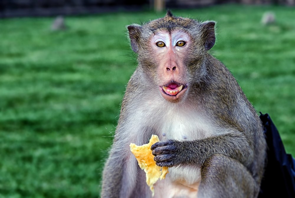 Photograph by Дмитрий Петренко