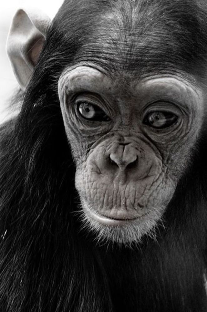 Photograph by Lev Prilutsky