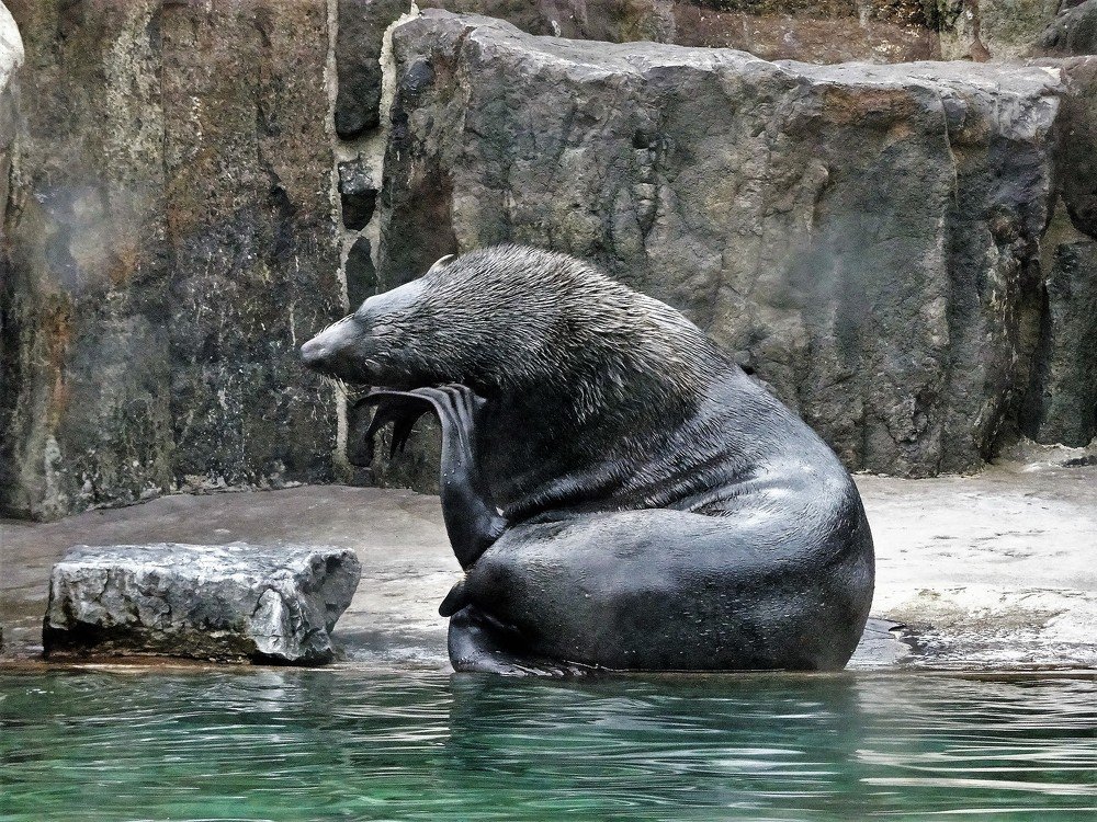 Сейчас подумаю и скажу