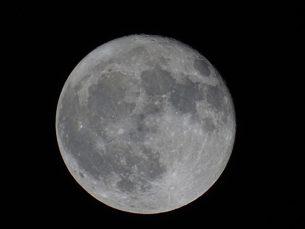 Photograph by Марина Мишина