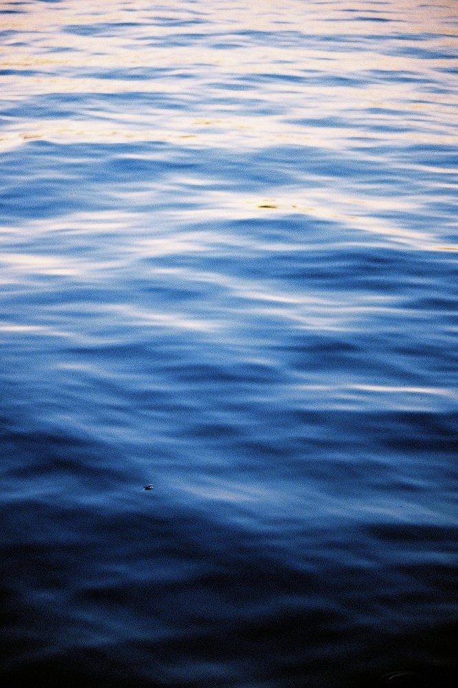 Photograph by Михаил Щипков