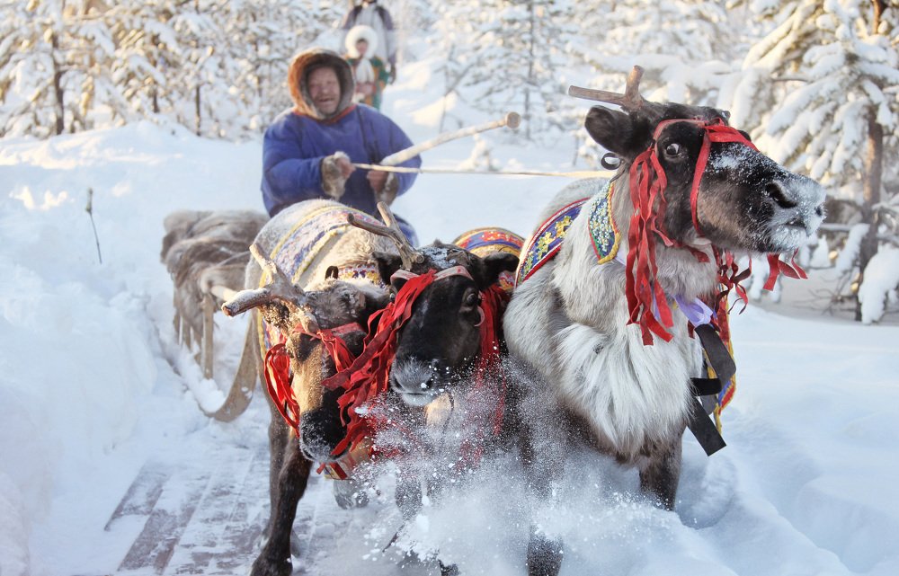 Photograph by Анна Михеева