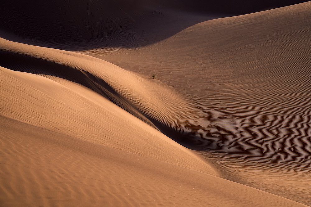 Photograph by Pedram Mirsadeghi