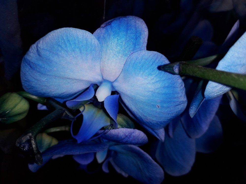 Photograph by Марина