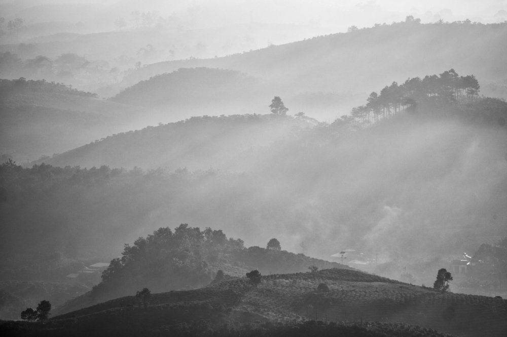 Photograph by phuong