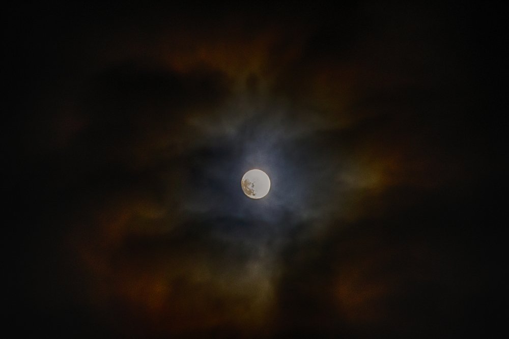 Photograph by Анна Михеева