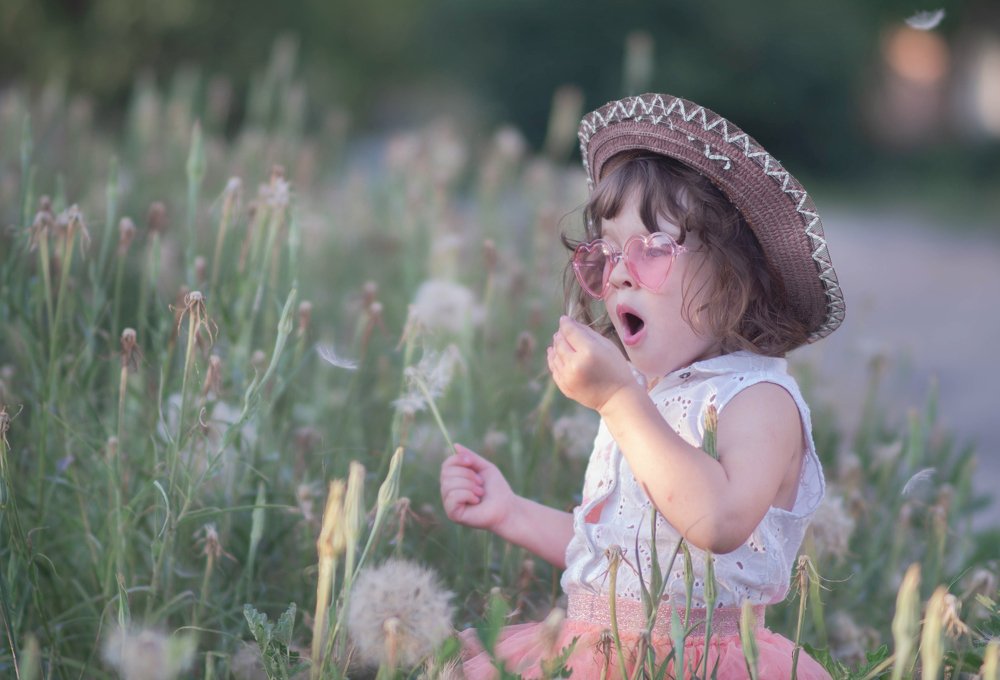 Одуванчиковое настроение