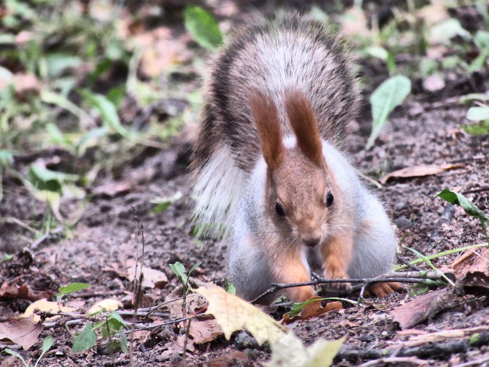 Photograph by Алексей