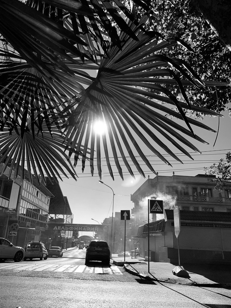 Photograph by Михаил Щипков