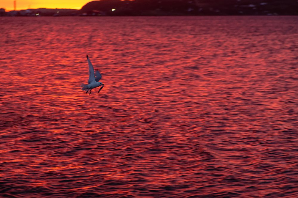 Photograph by Ольга Мурашева