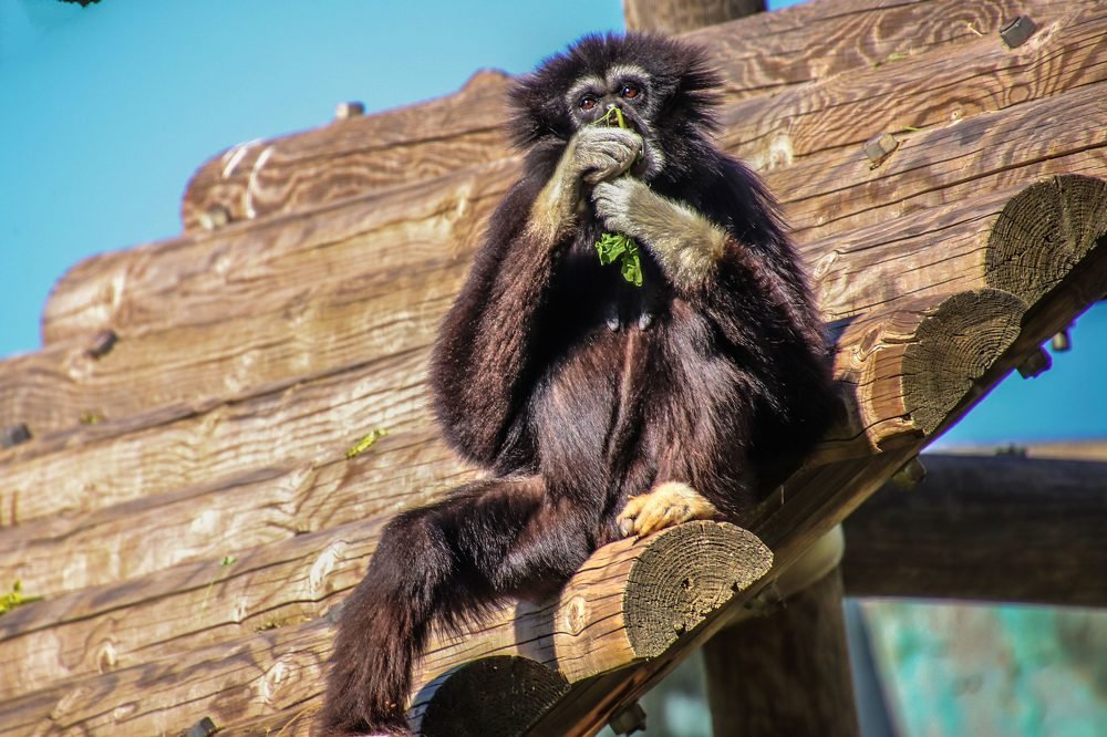 Photograph by Galina Rashap