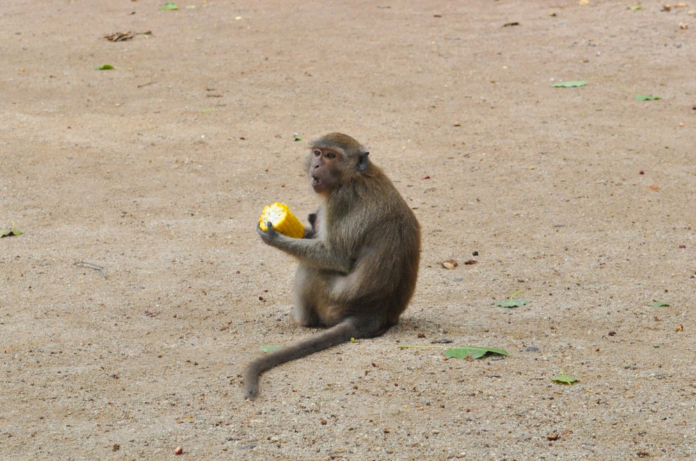 Photograph by Кадырова Анастасия