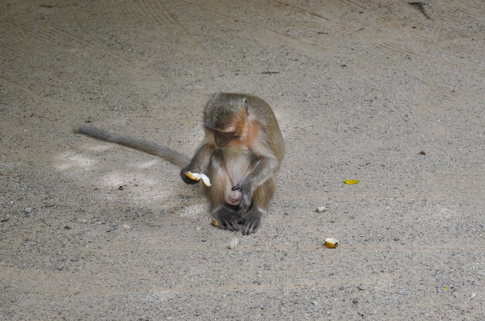 Photograph by Кадырова Анастасия