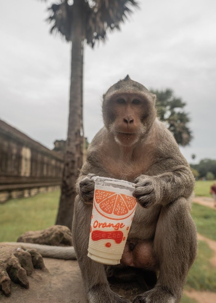 Photograph by Александр Кононов