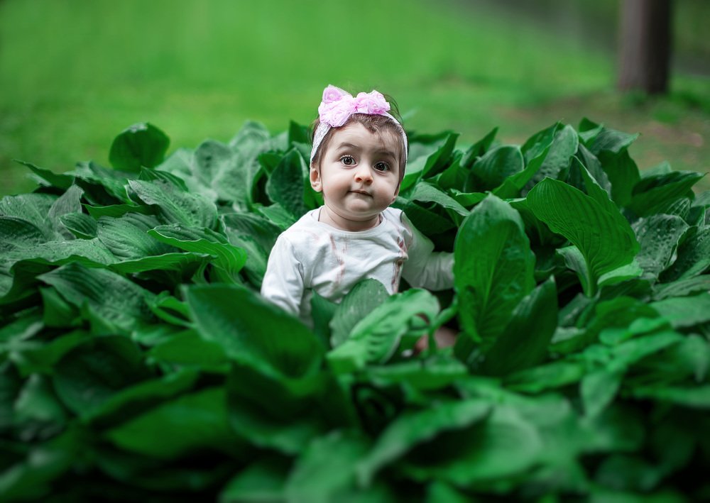 Фотография автора Батраз Табуев