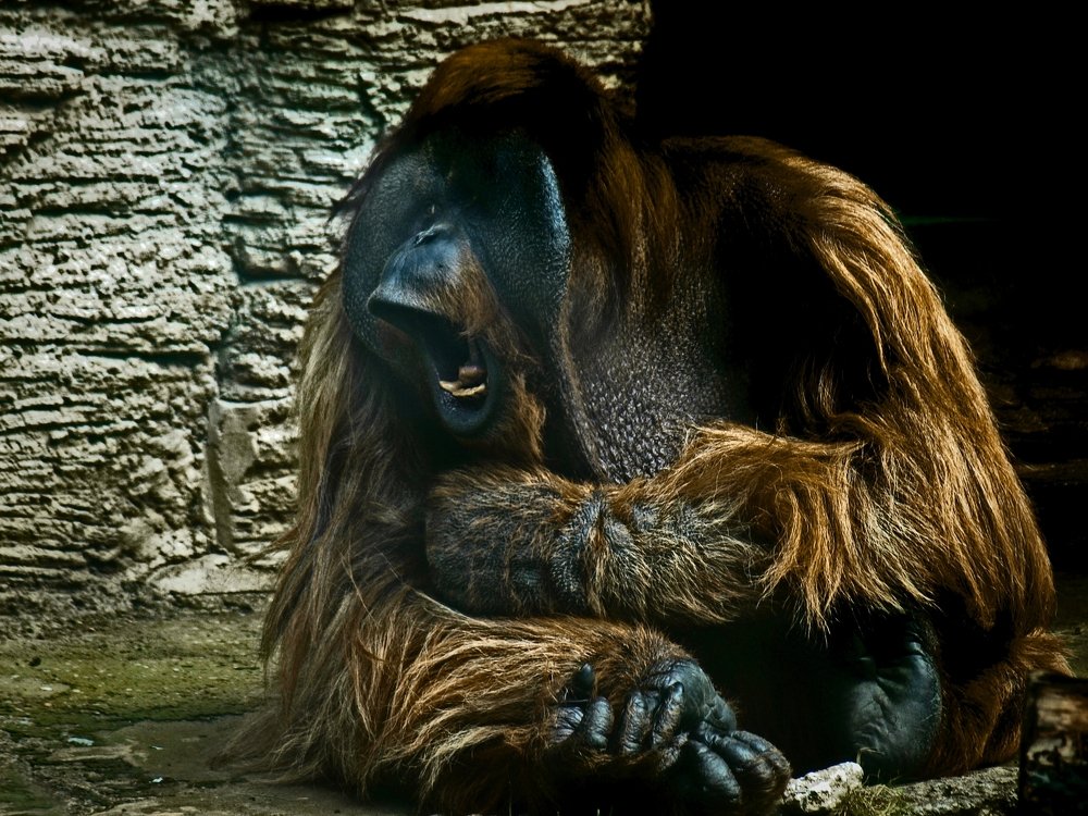 Photograph by Михаил Малец