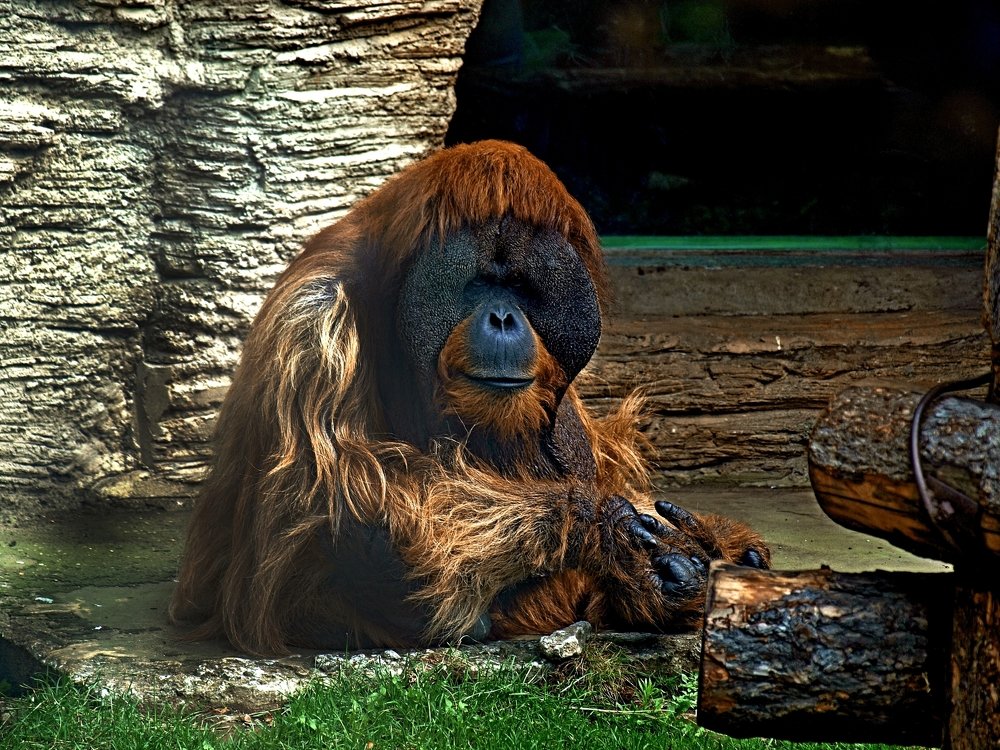 Photograph by Михаил Малец