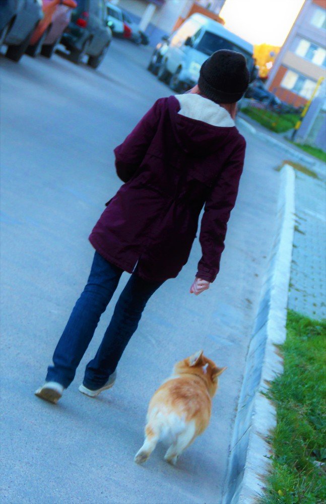 Photograph by Алексей Малеев