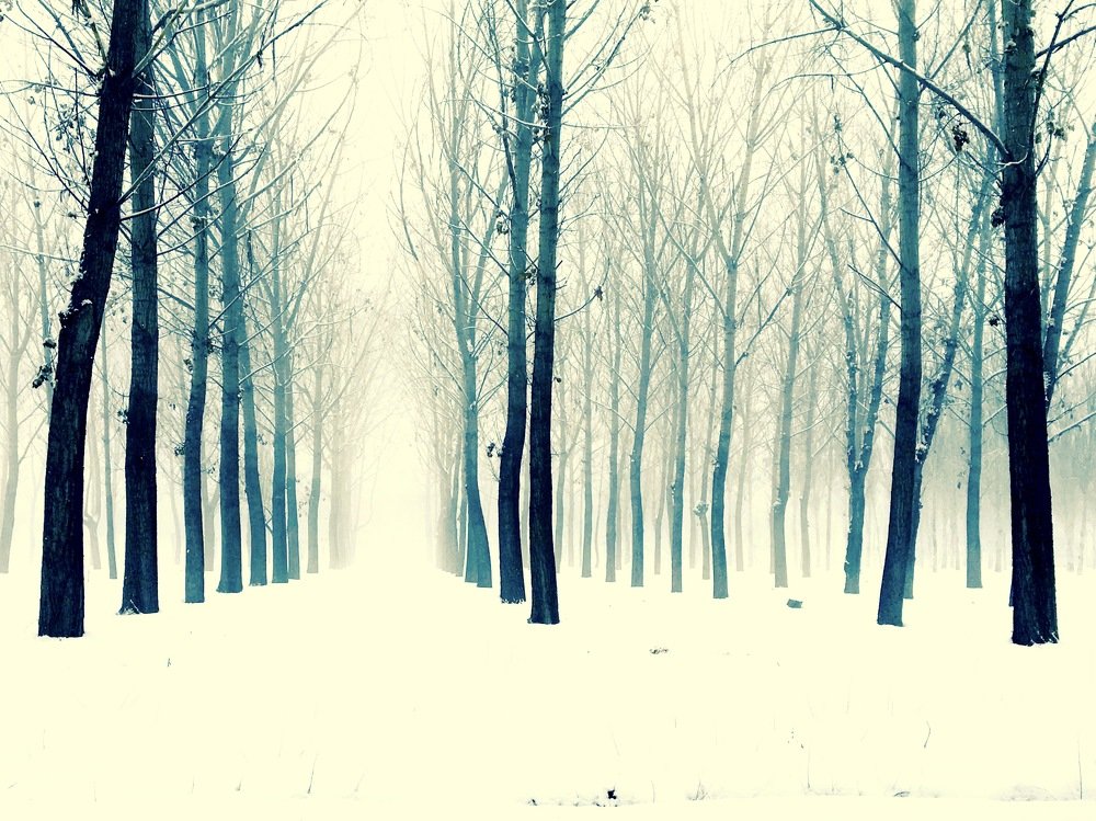 Photograph by Елена Ким