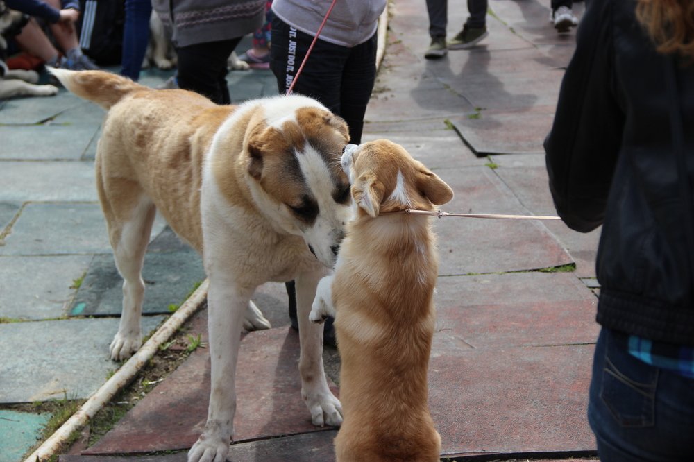 Photograph by Алексей Малеев