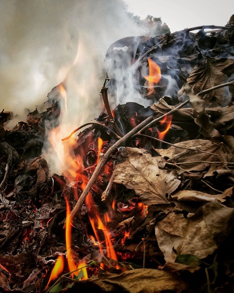 Photograph by Priyanka Sharma