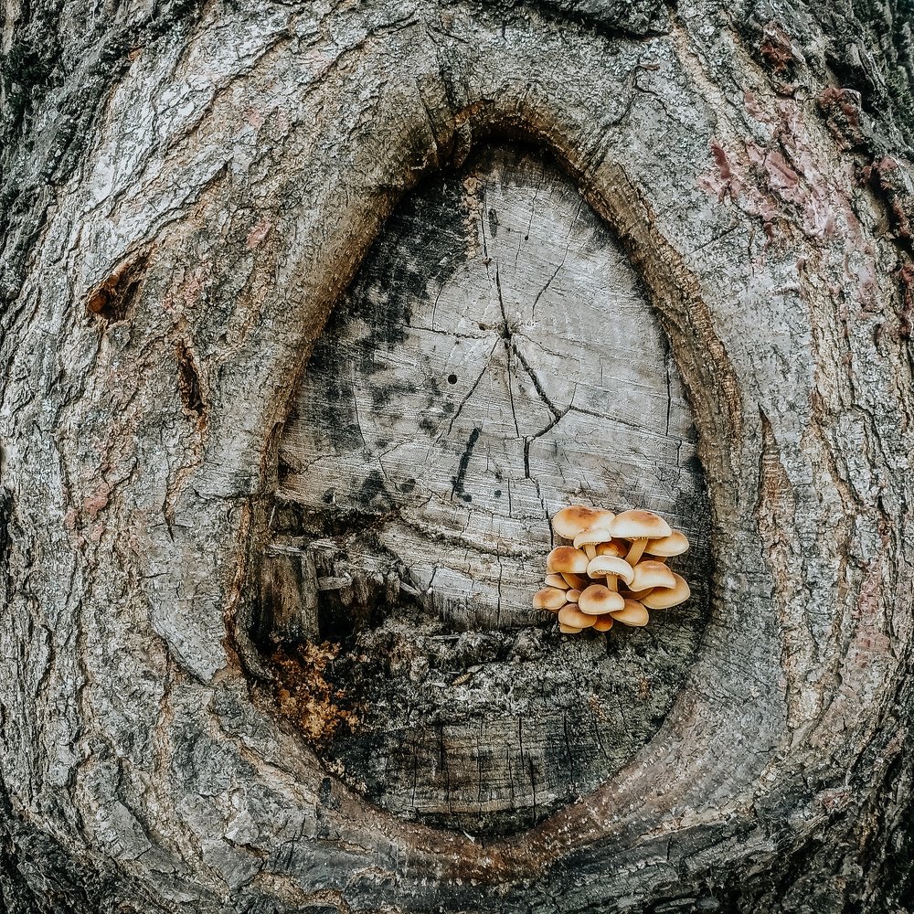 Photograph by Павел Агеев