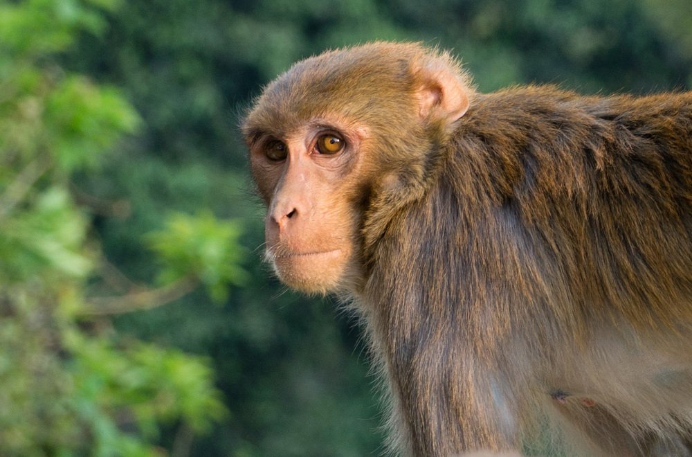 Photograph by Виктор Петров