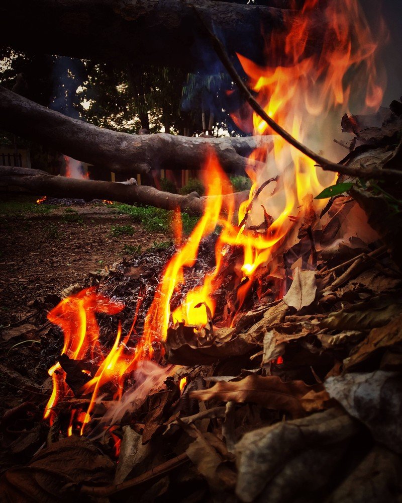 Photograph by Priyanka Sharma