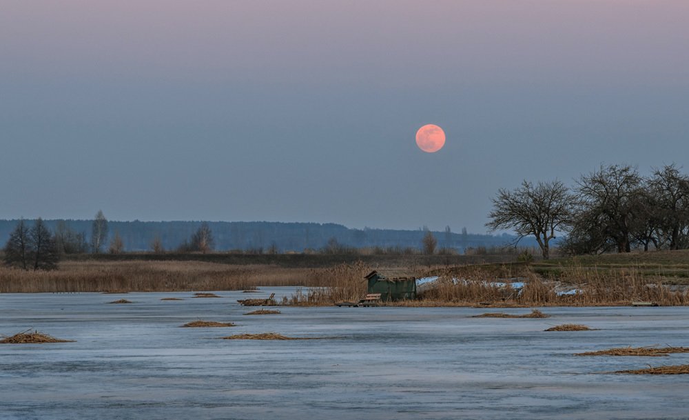 Photograph by Галина Нечипорук