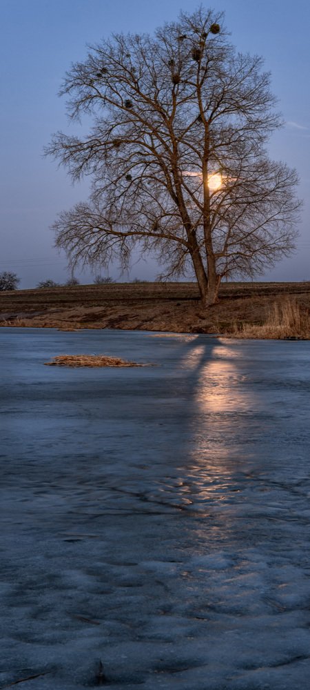 Photograph by Галина Нечипорук