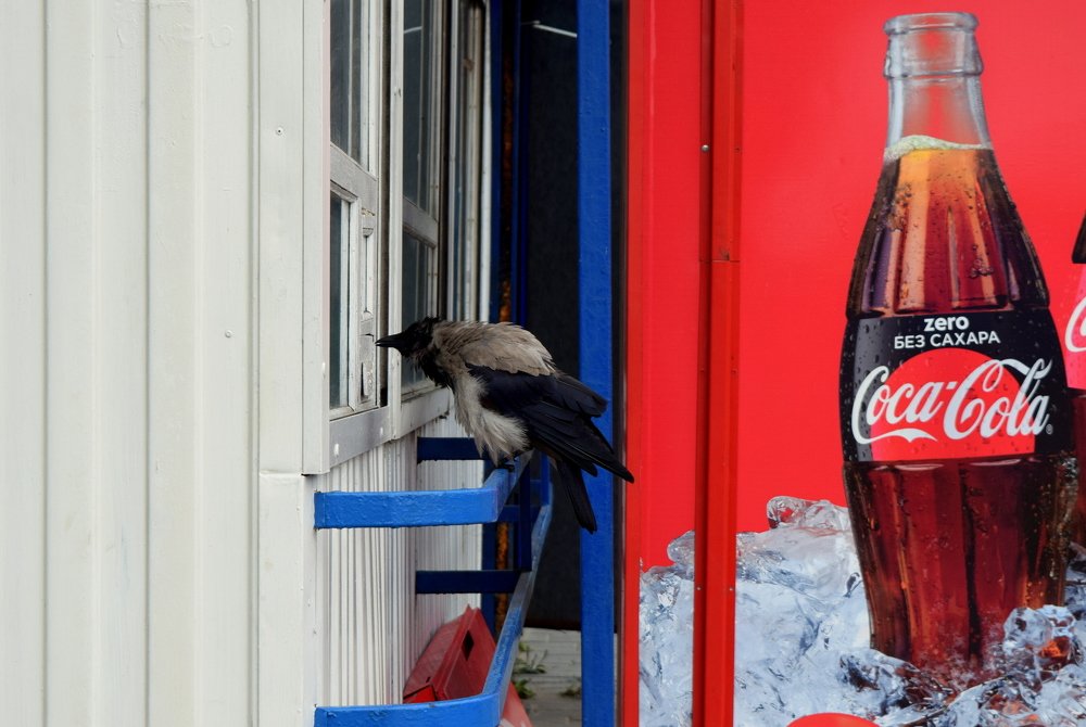 Photograph by Олег Губаревич