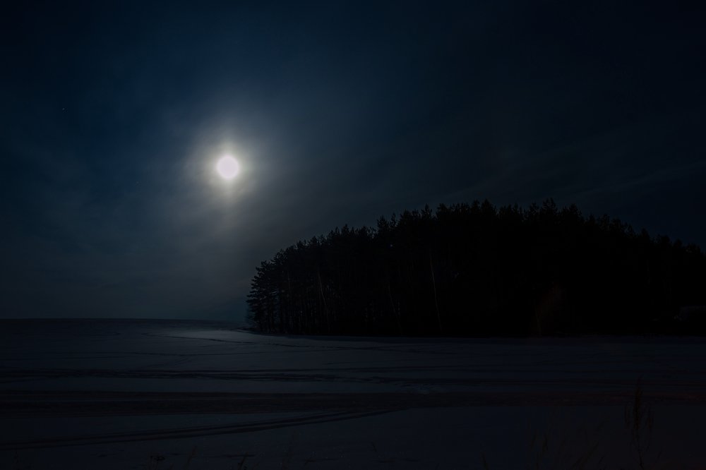 Photograph by Алексей Сафонов