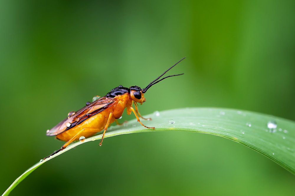 Фотография автора Владислав Жуков
