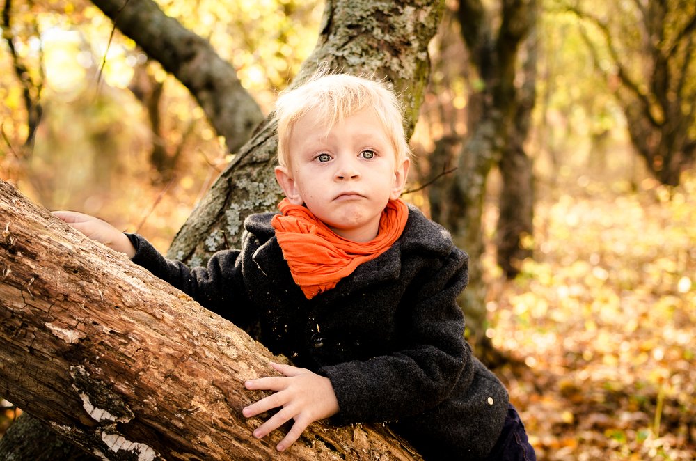 Photograph by Светлана Коваль