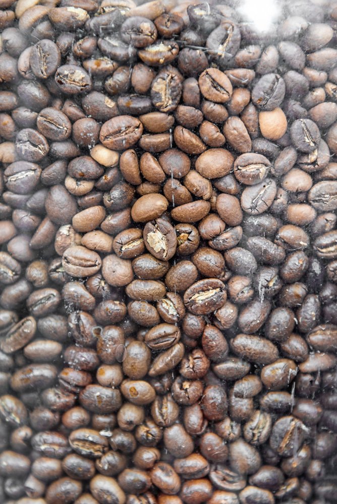 Photograph by Галина Нечипорук