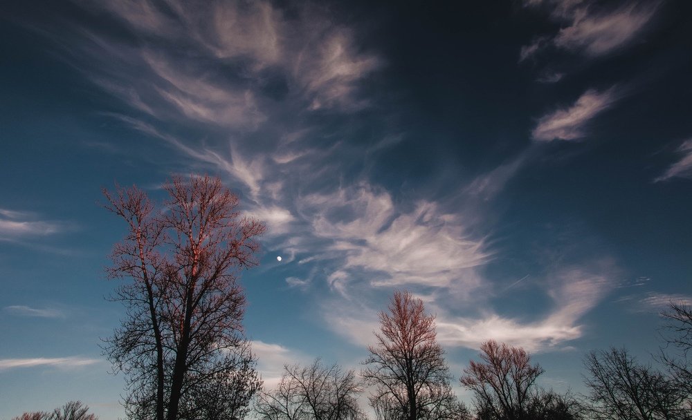 Photograph by Александр Щось