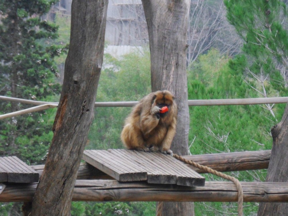 Photograph by Олег Мухачев