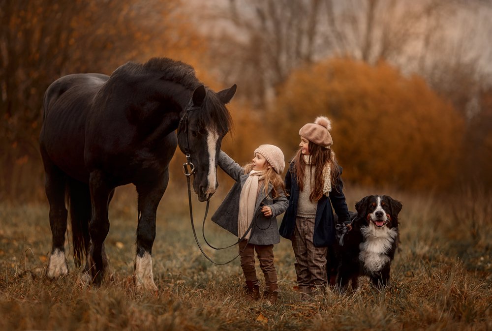 Фотография автора Julia Shepeleva