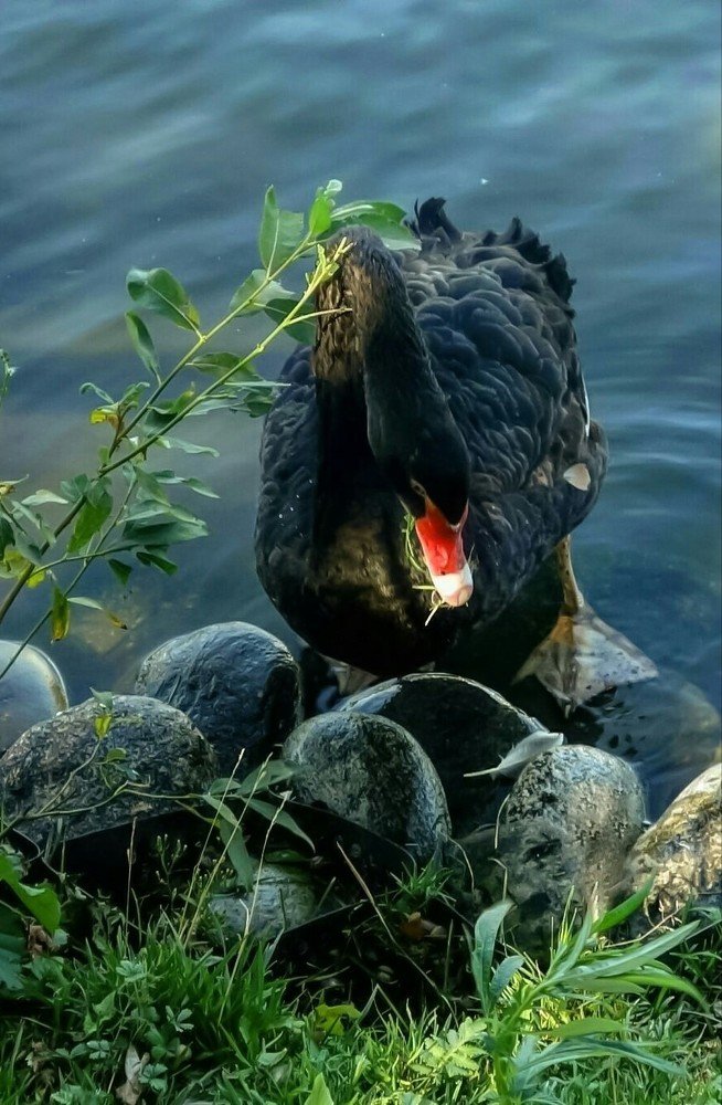 Фотография автора Валентина Рихмаер