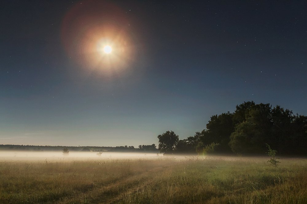 Лунный свет