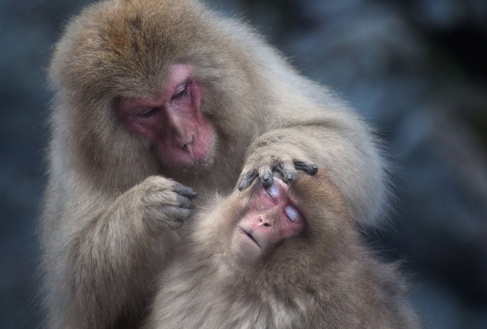 Визажист за работой