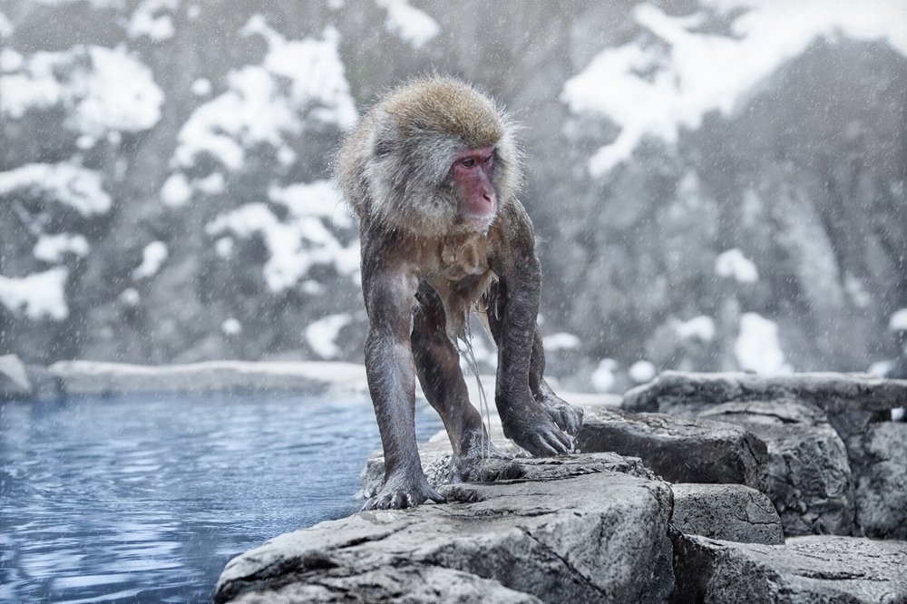 Согревающий бег