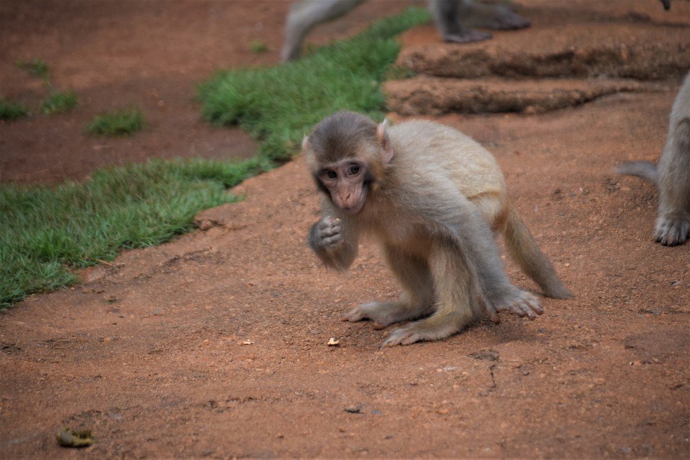 Photograph by Сергей Подлевский