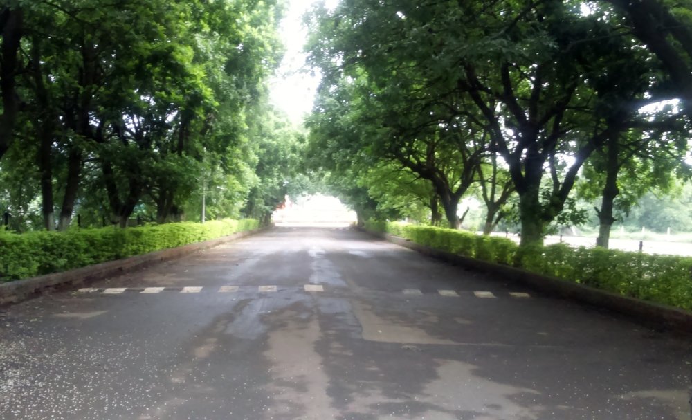 Photograph by Ambewadikar sourabh