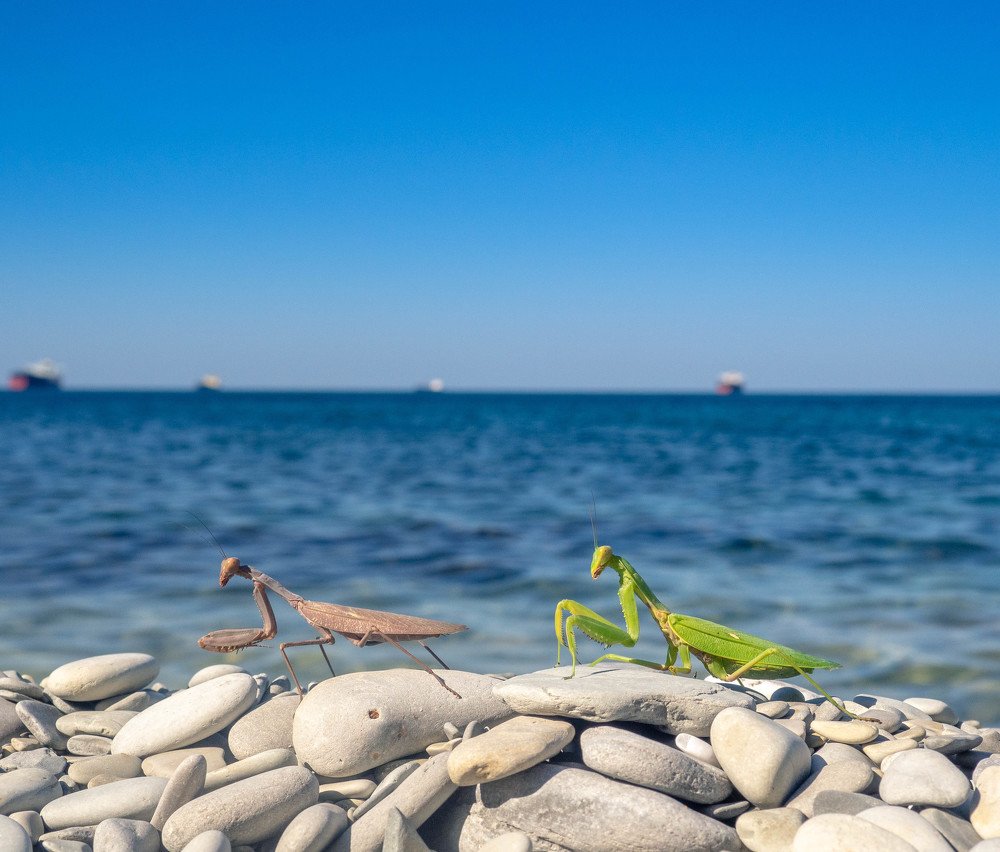 Photograph by Роман Кокорин