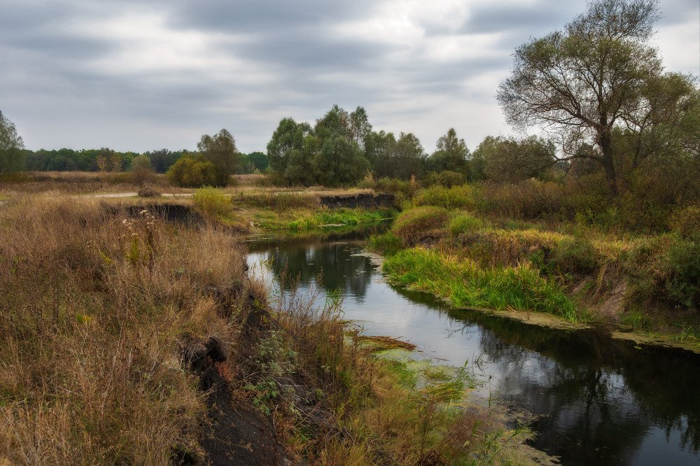 На осеннем лугу