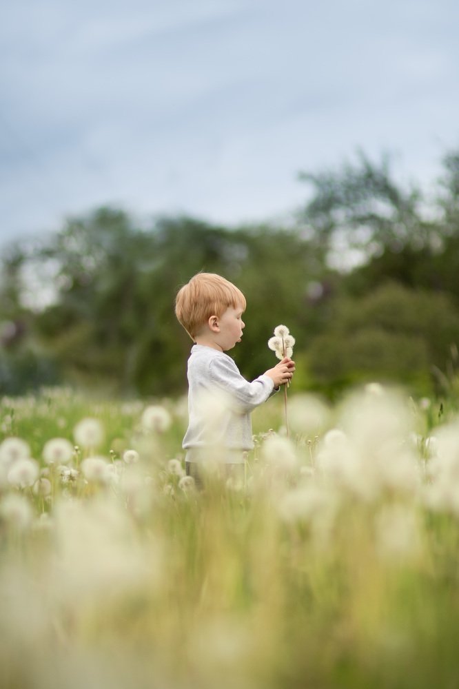 Photograph by Ilze Krone