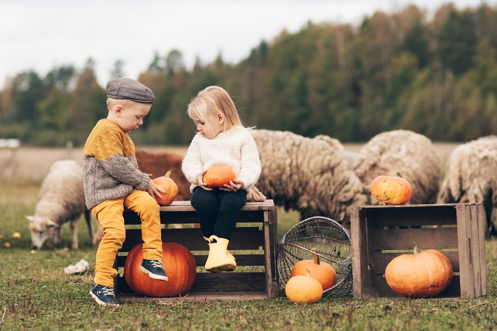 Photograph by Ilze Krone